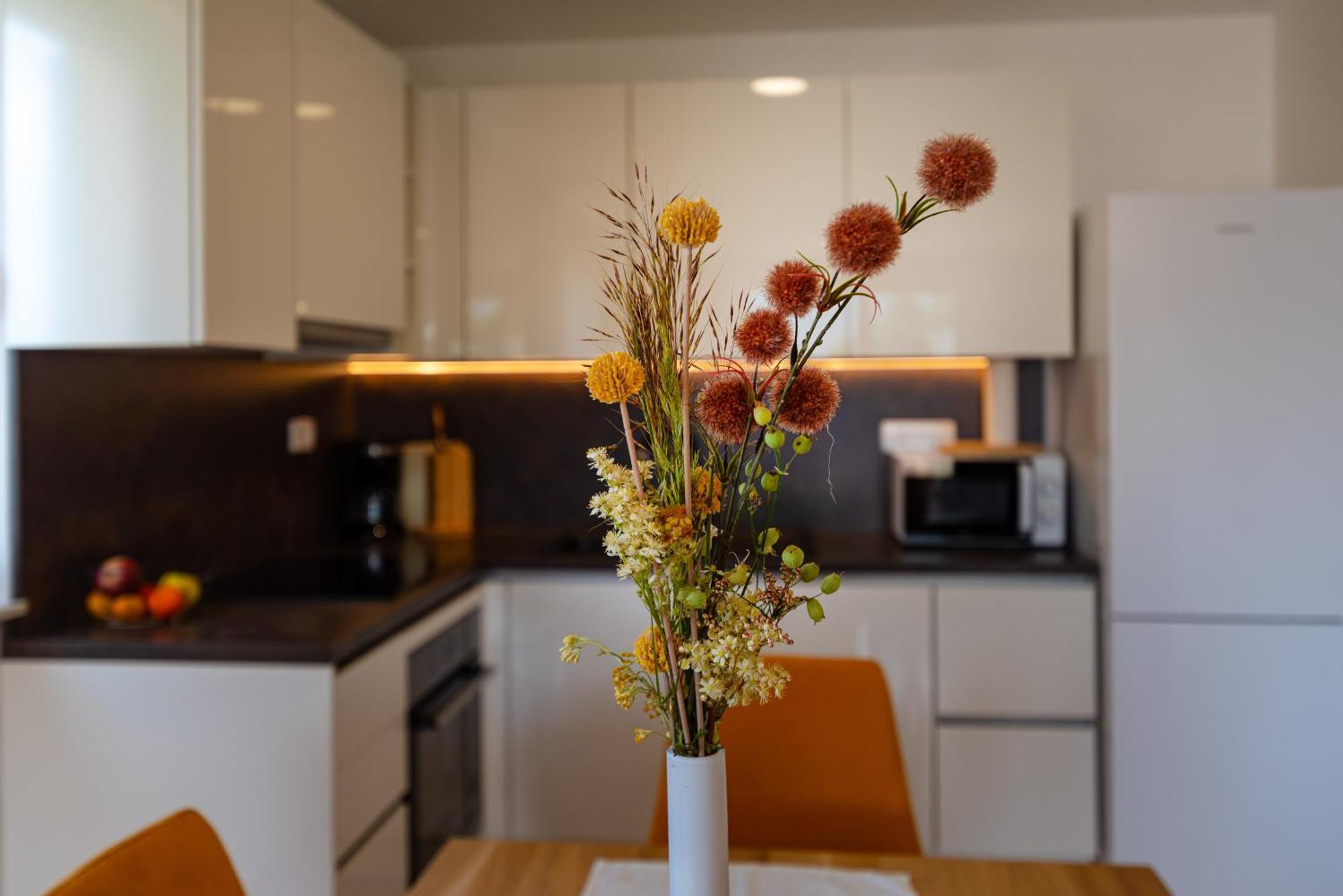 Apartmani Lelu Pridraga 외부 사진